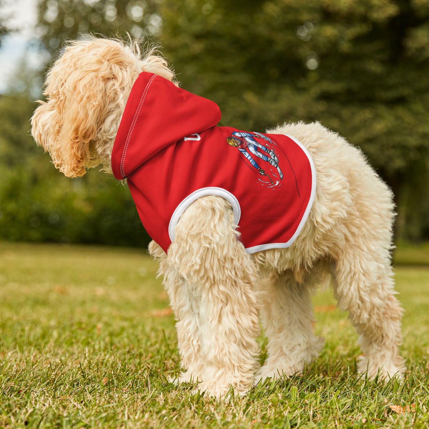 Princess Grace  TEAM USA  Pet Hoodie