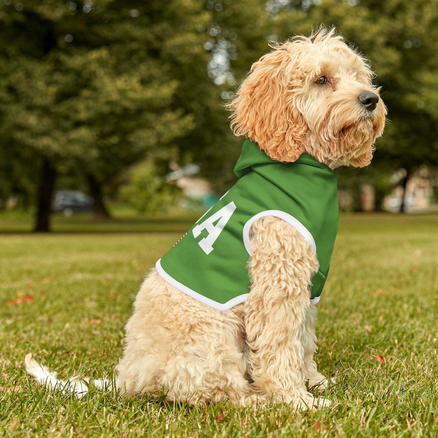 Princess Grace  TEAM USA  Pet Hoodie