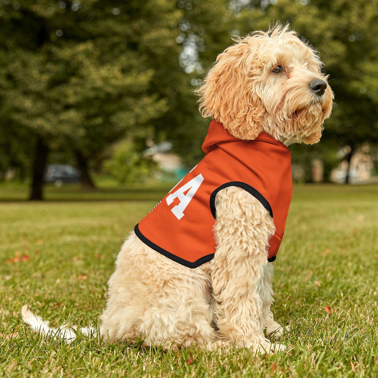 Princess Grace  TEAM USA  Pet Hoodie