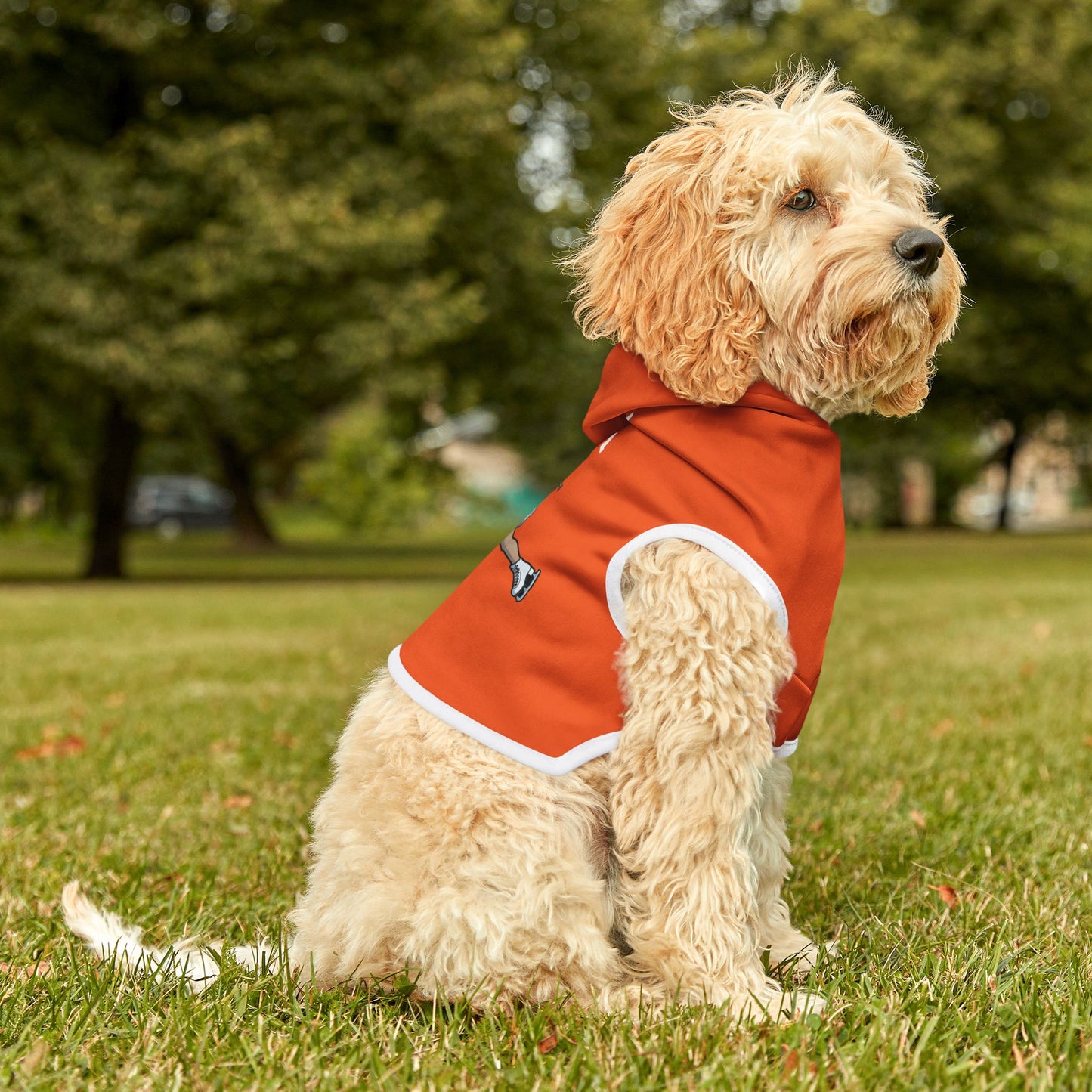 Princess Grace  TEAM USA  Pet Hoodie