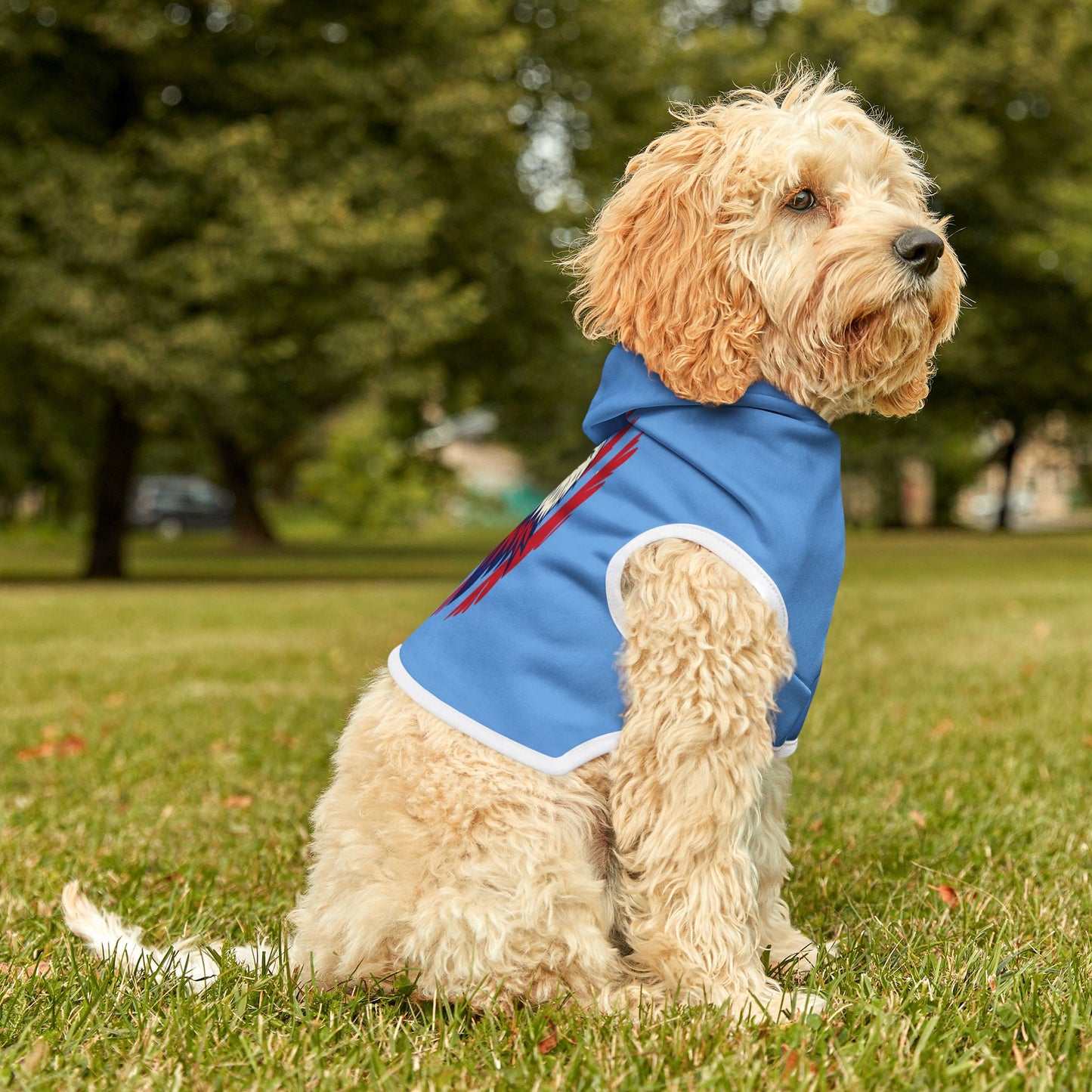 Princess Grace  Patriotic Eagle Pet Hoodie  Cozy Blue Dog Hoodie for Independence Day