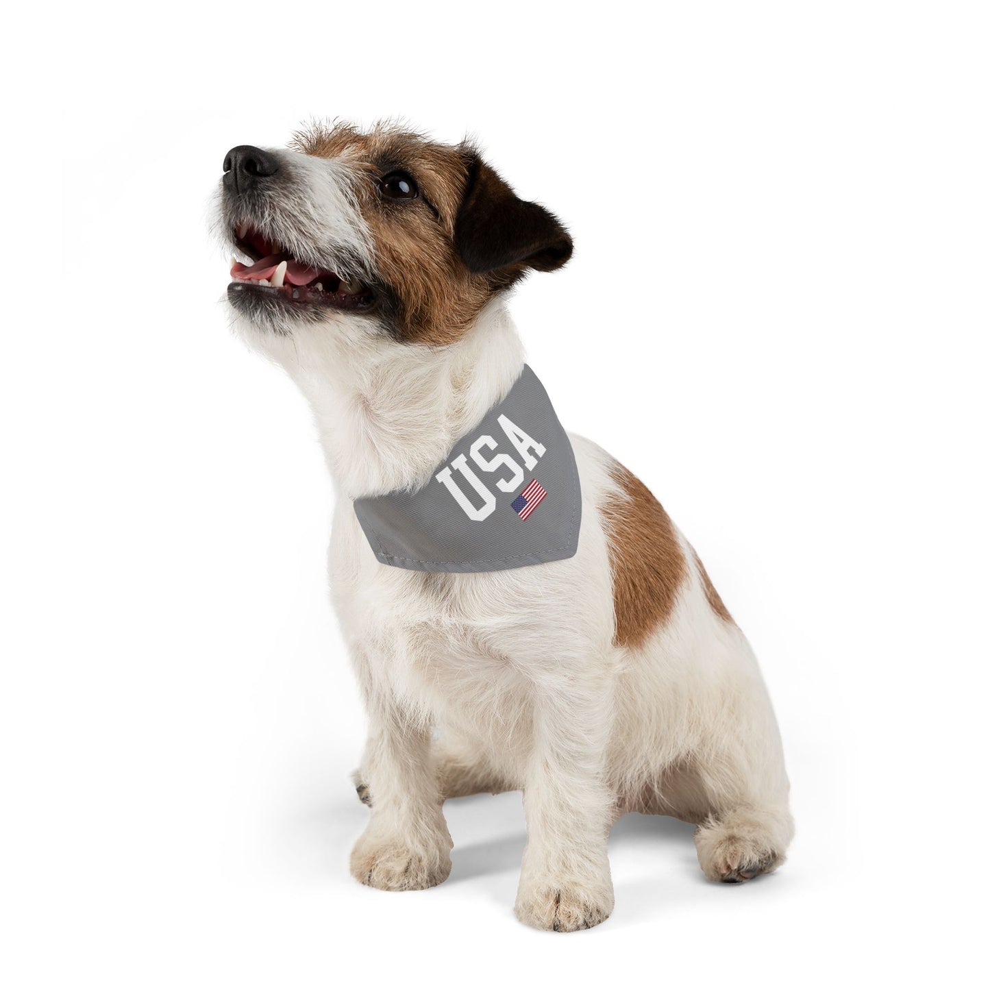Princess Grace  TEAM USA  Pet Bandana Collar