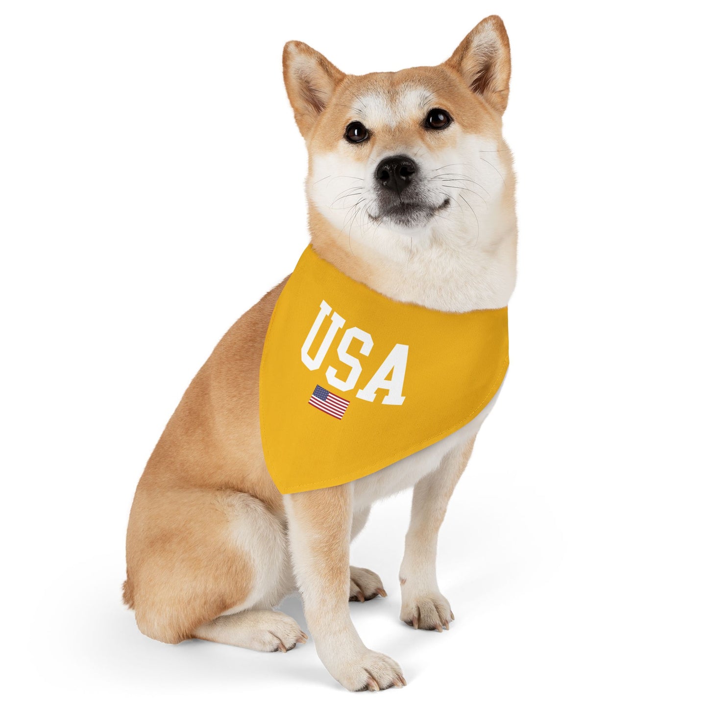 Princess Grace  TEAM USA  Pet Bandana Collar