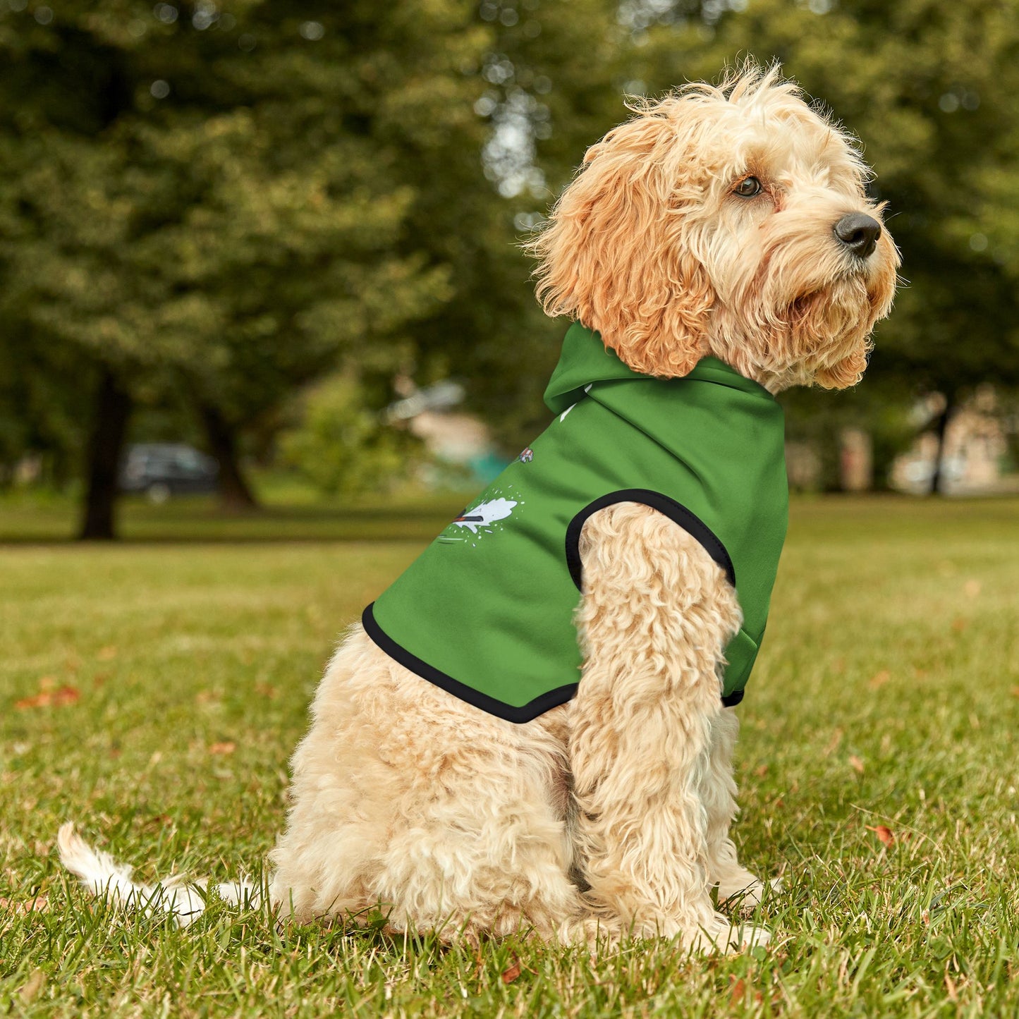 Princess Grace  TEAM USA  Pet Hoodie