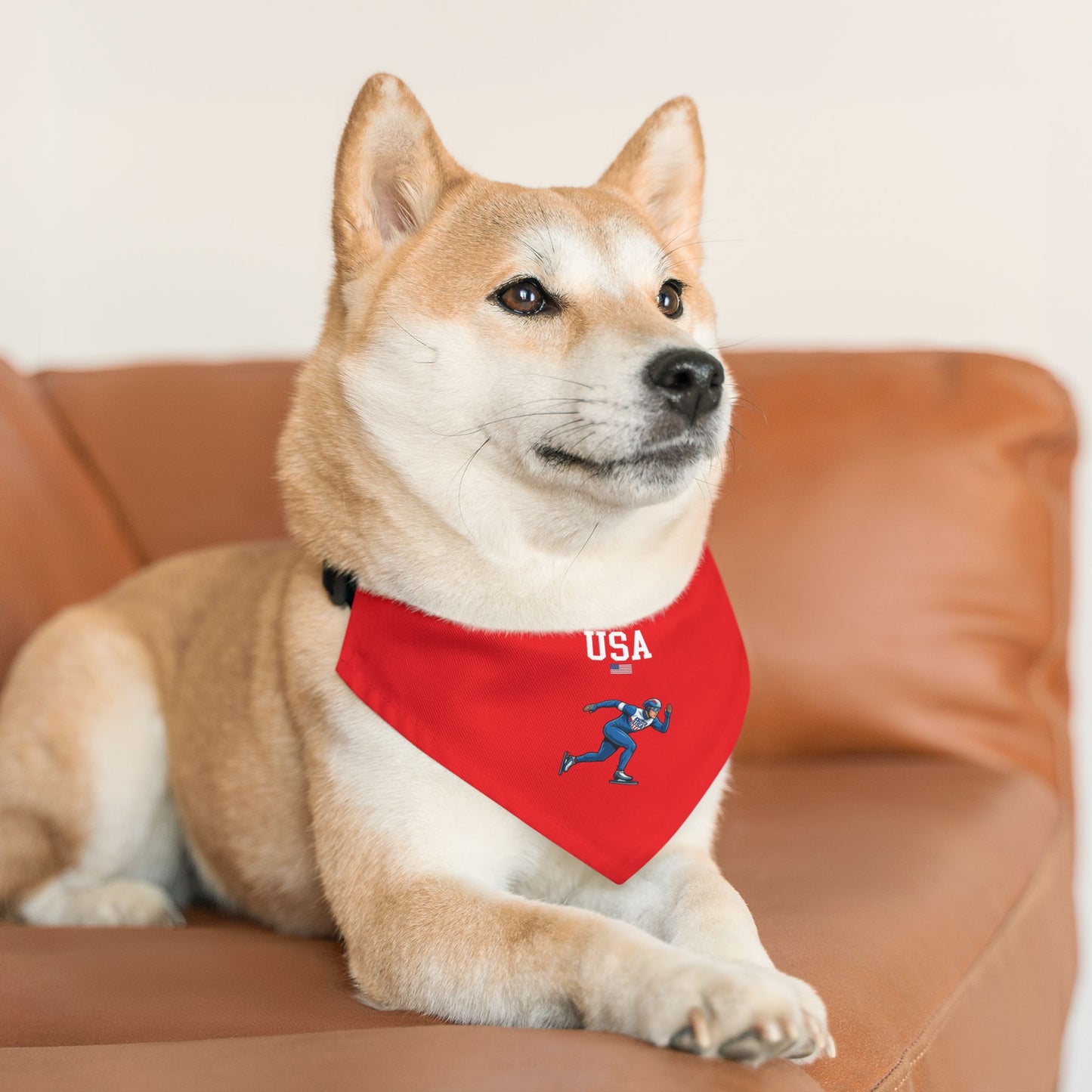 Princess Grace  TEAM USA  Pet Bandana Collar