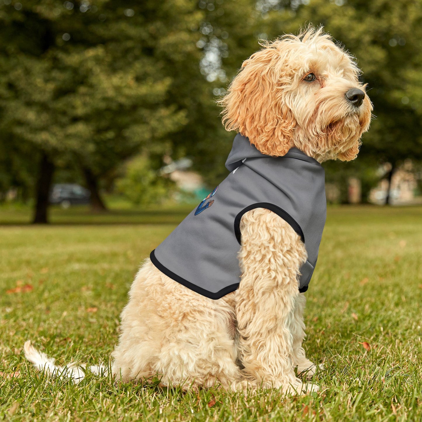 Princess Grace  TEAM USA  Pet Hoodie