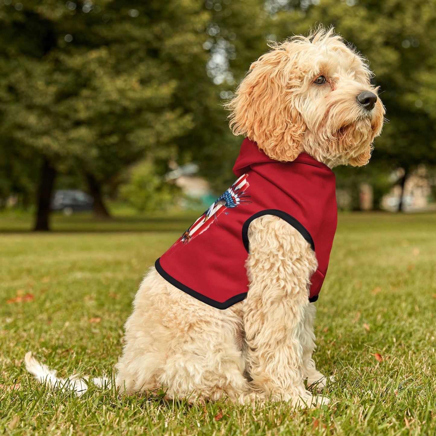 Princess Grace  Patriotic Pet Hoodie with Eagle Design  Cozy American Apparel for Dog Lovers
