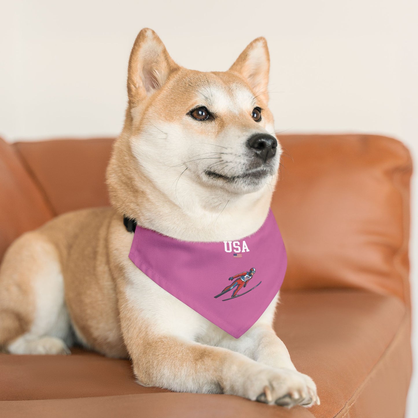 Princess Grace  TEAM USA  Pet Bandana Collar