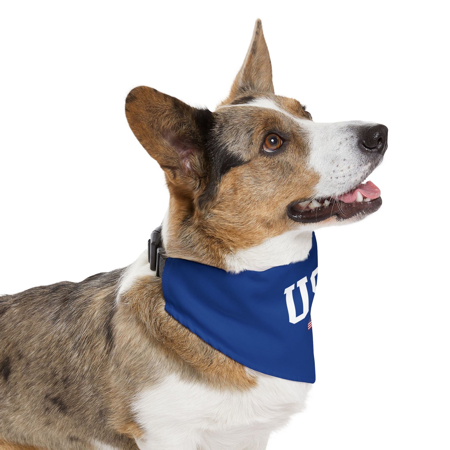 Princess Grace  TEAM USA  Pet Bandana Collar