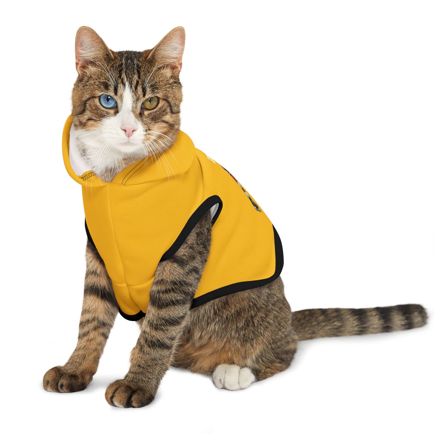 Princess Grace  TEAM USA  Pet Hoodie