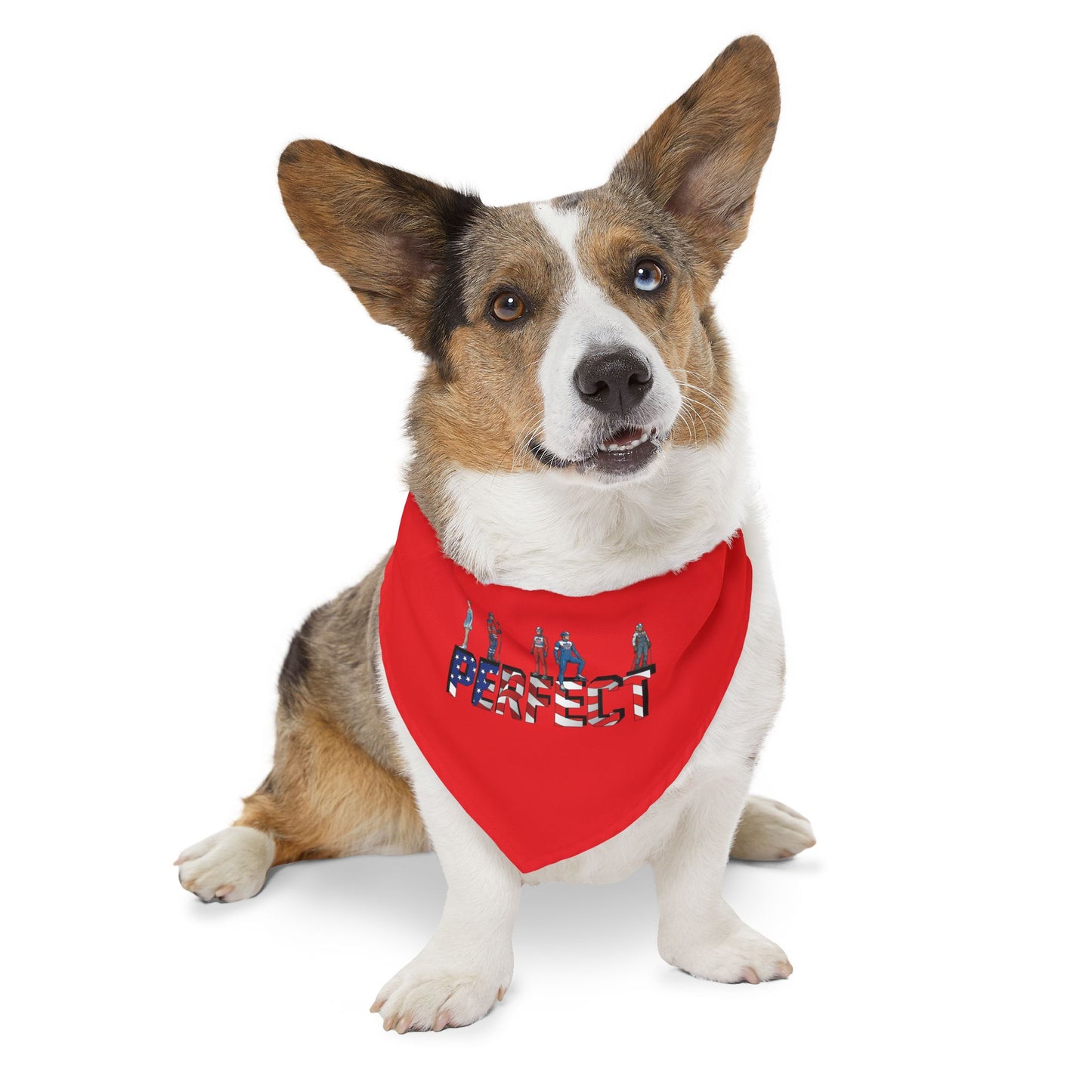 Princess Grace  TEAM USA  Pet Bandana Collar