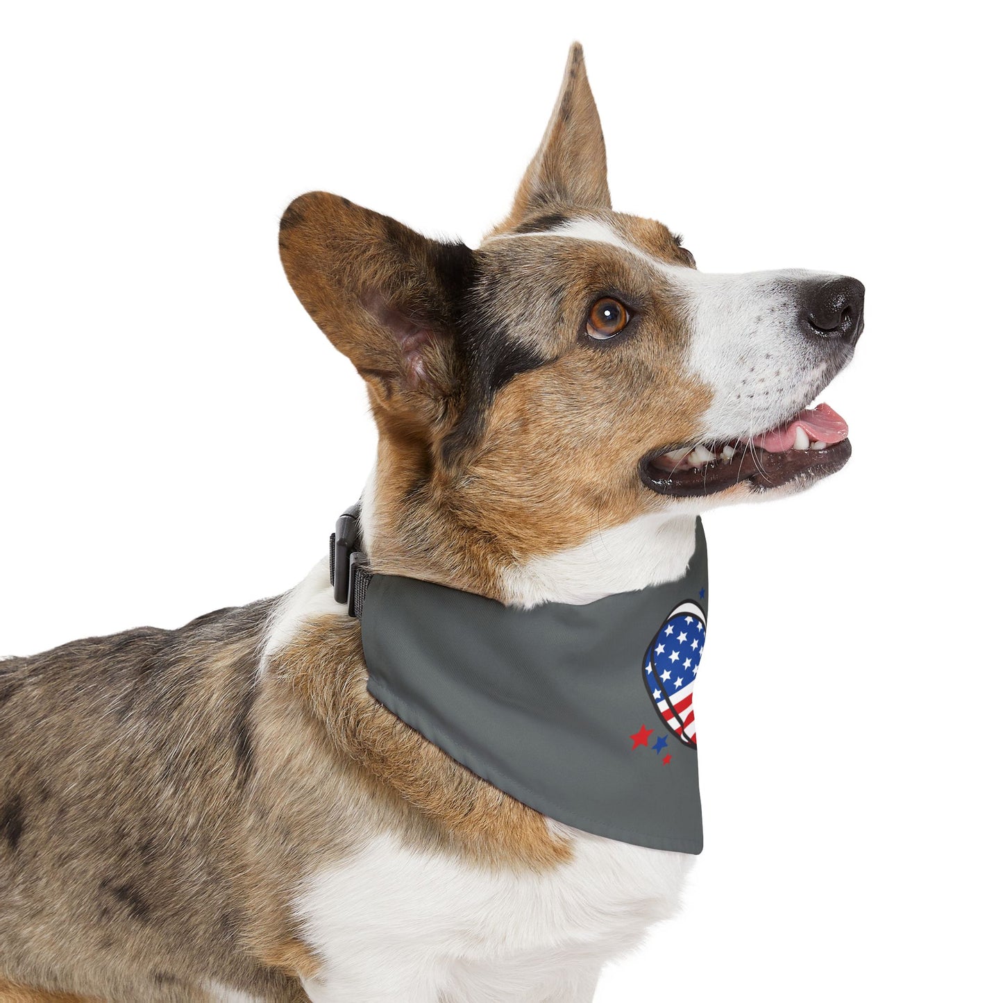 Princess Grace  Patriotic Pet Bandana Collar Heart Design for Dogs