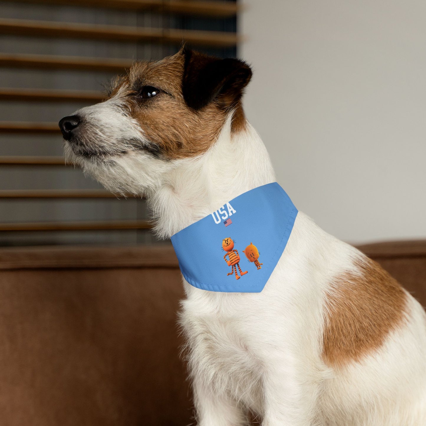 Princess Grace  TEAM USA  Pet Bandana Collar