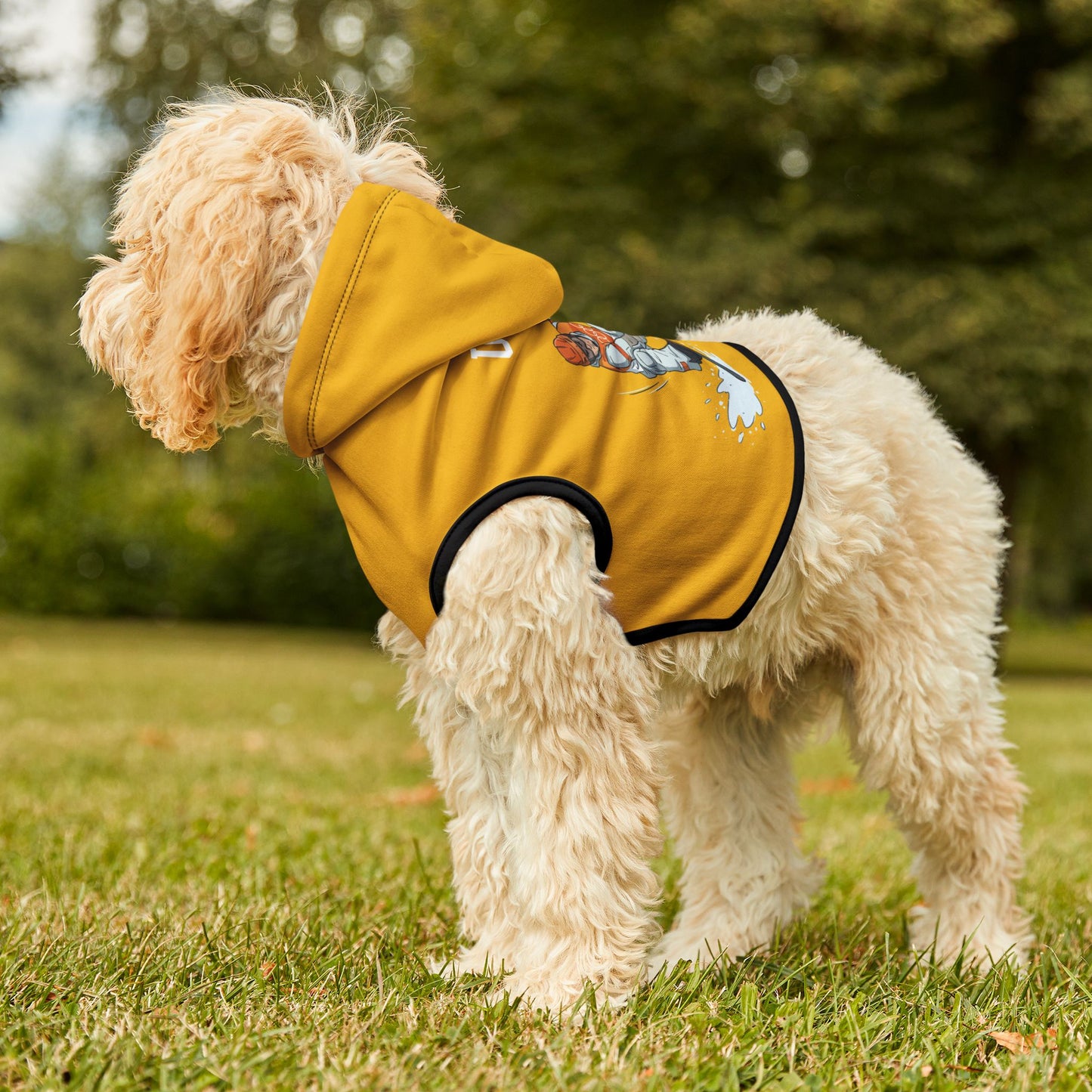 Princess Grace  TEAM USA  Pet Hoodie
