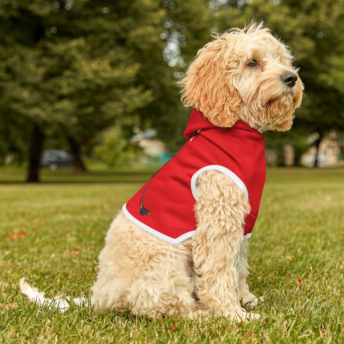 Princess Grace  TEAM USA  Pet Hoodie