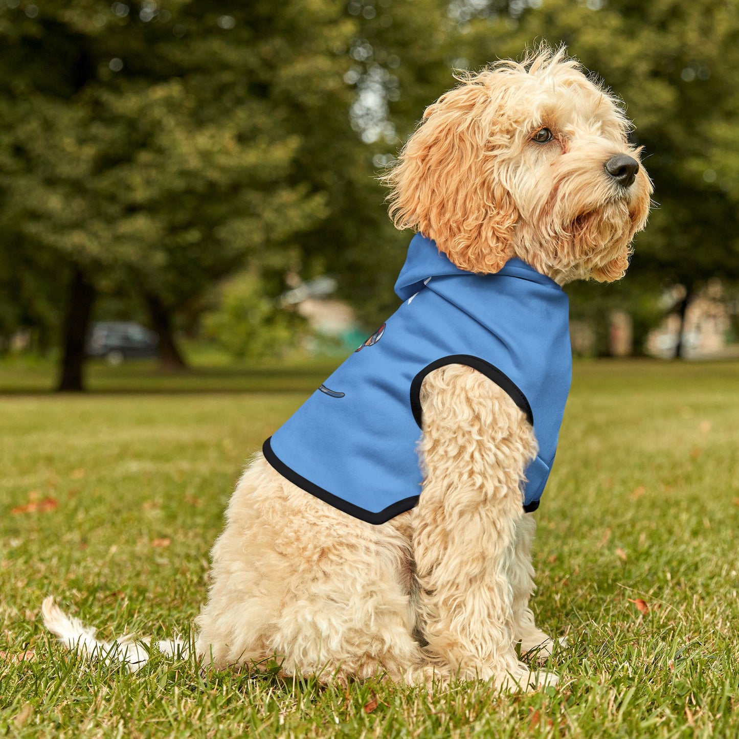 Princess Grace  TEAM USA  Pet Hoodie