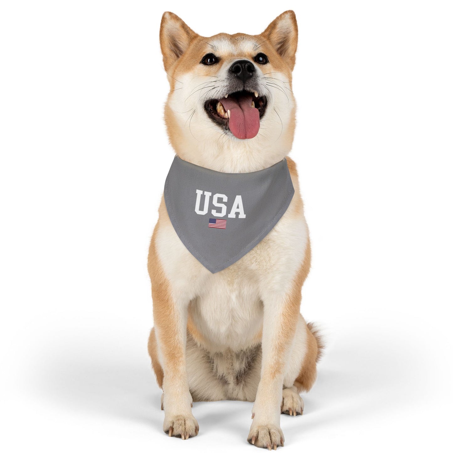 Princess Grace  TEAM USA  Pet Bandana Collar