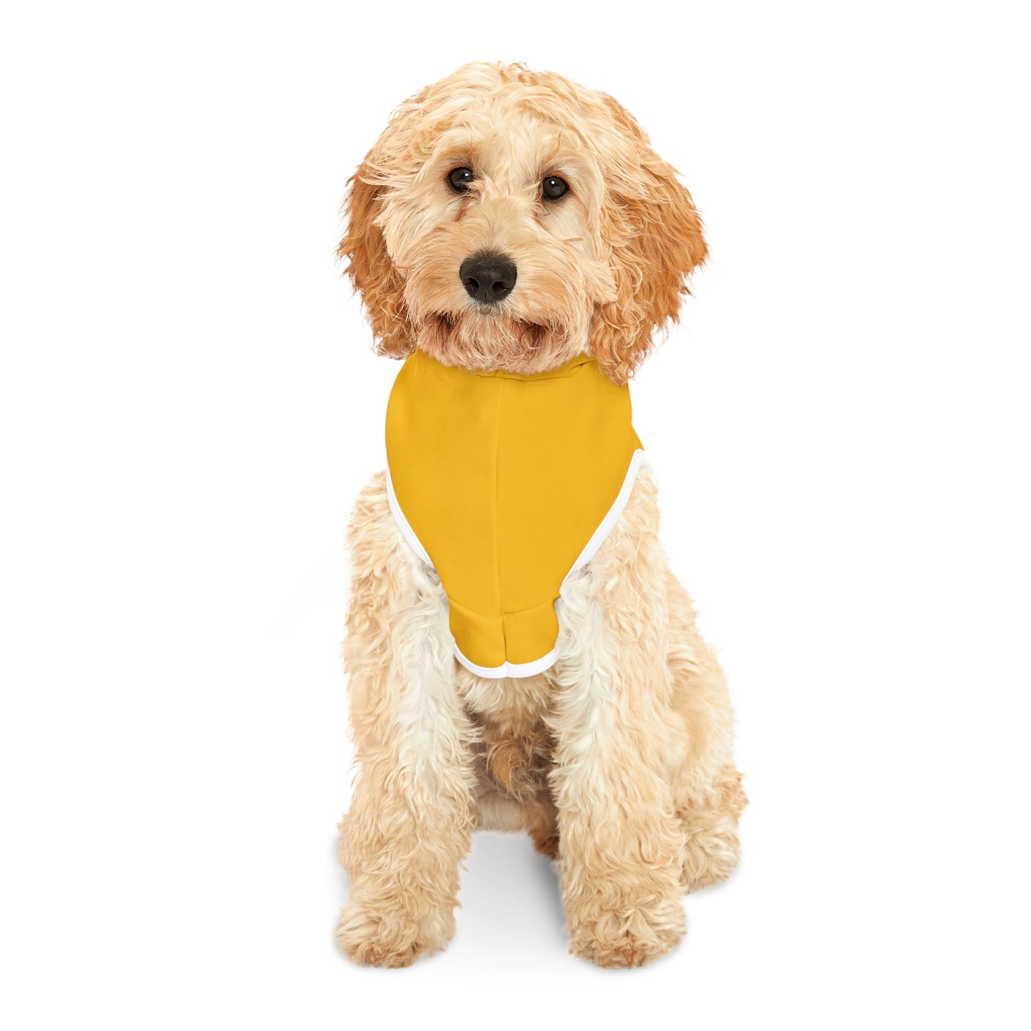 Princess Grace  TEAM USA  Pet Hoodie