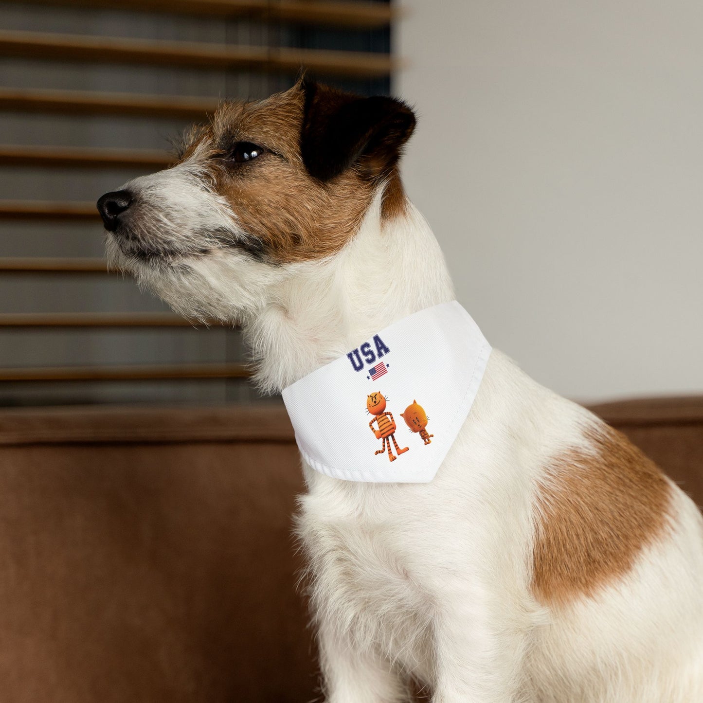 Princess Grace  TEAM USA  Pet Bandana Collar