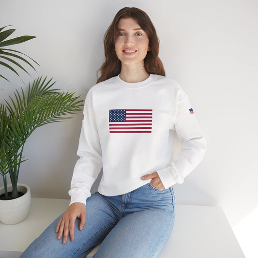 Princess Grace  TAEM USA  Patriotic Unisex Crewneck Sweatshirt with American Flags