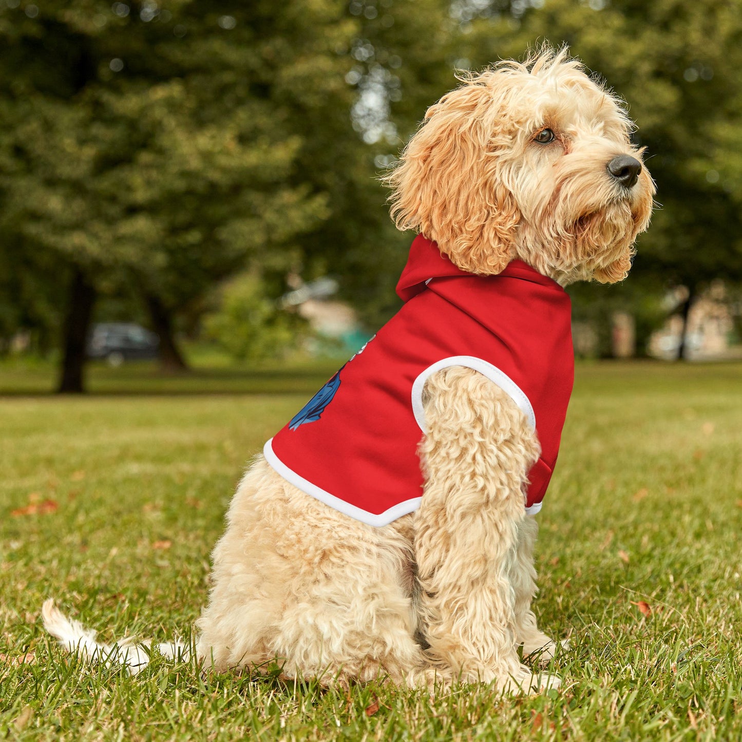 Princess Grace  TEAM USA  Pet Hoodie
