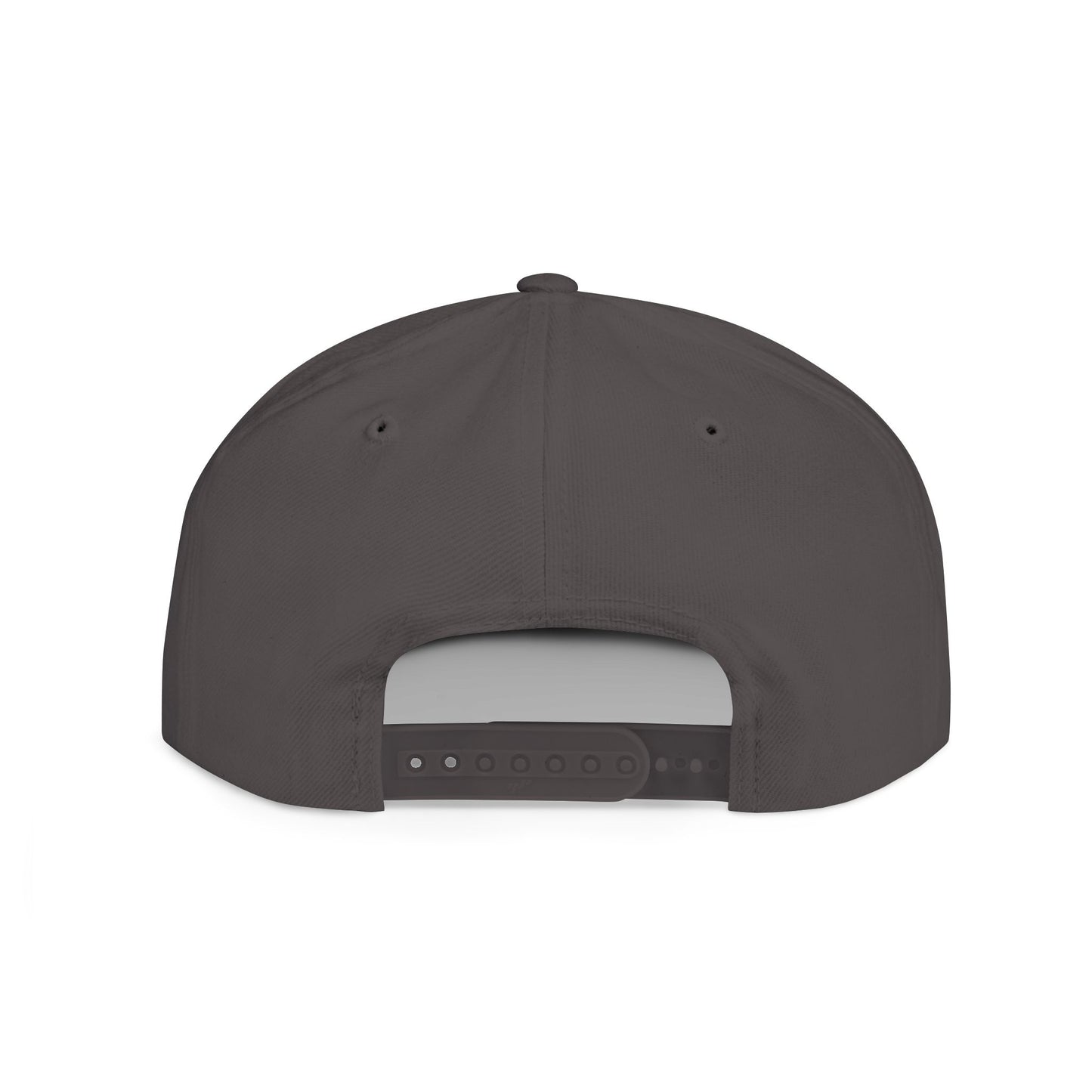 Princess Grace  TEAM USA  Flat Bill Snapback Hat