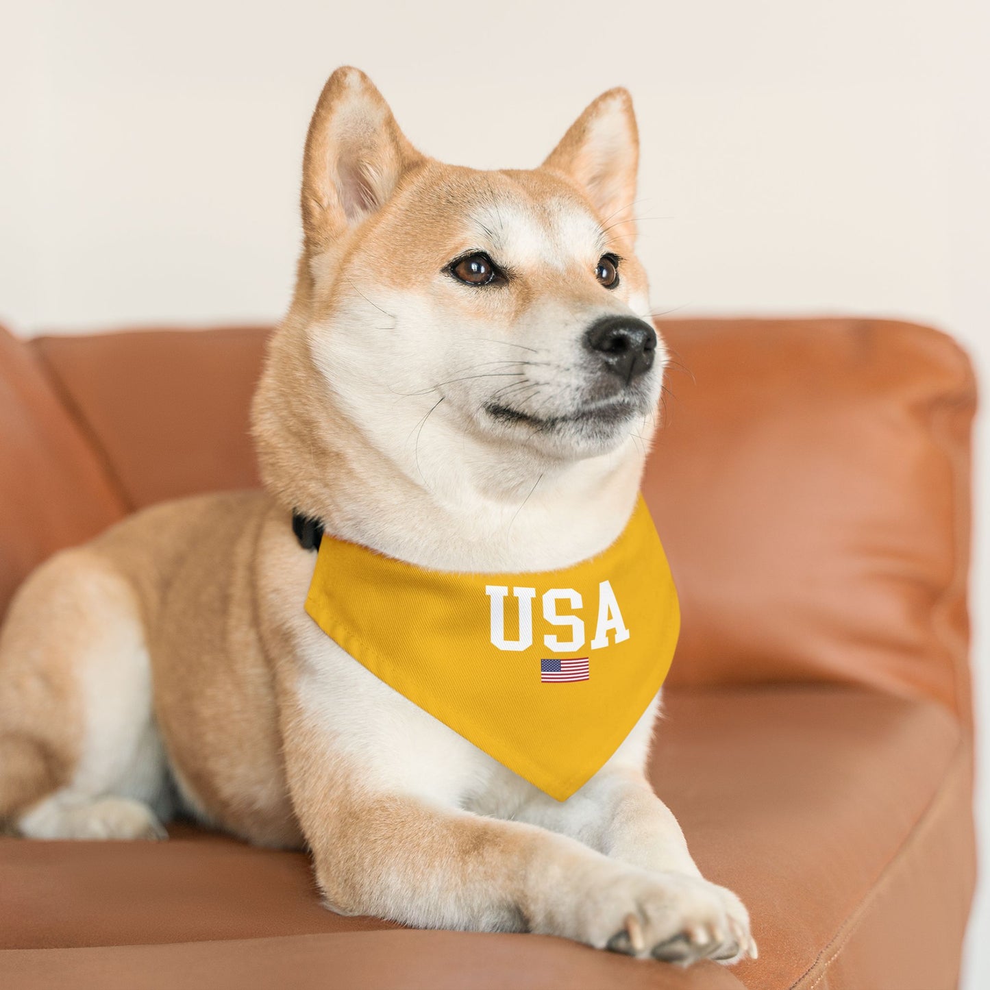 Princess Grace  TEAM USA  Pet Bandana Collar