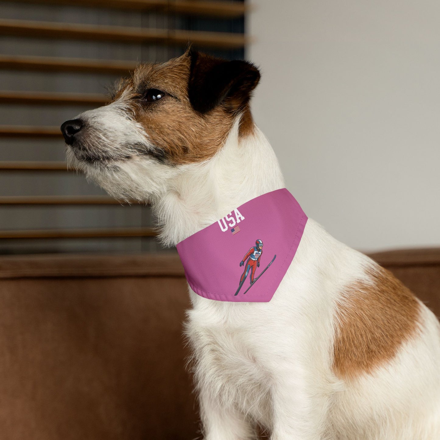Princess Grace  TEAM USA  Pet Bandana Collar