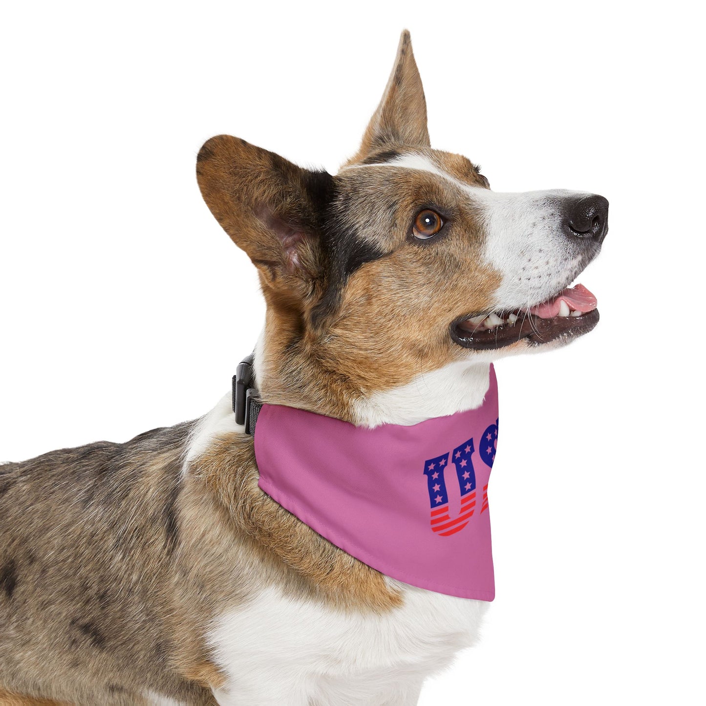 Princess Grace  Patriotic Dog Bandana Collar  USA Flag Design for July 4th Celebrations