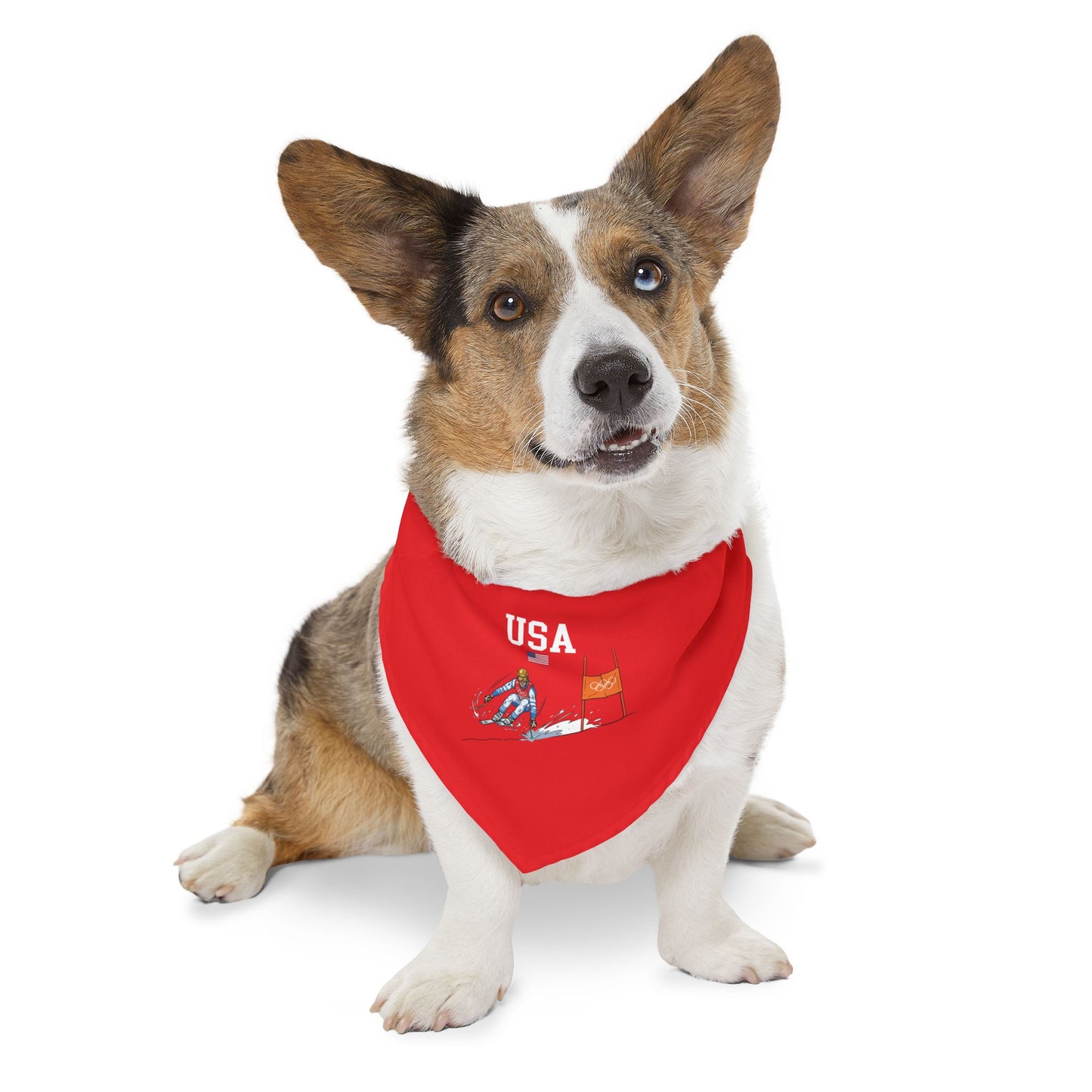 Princess Grace  TEAM USA  Pet Bandana Collar