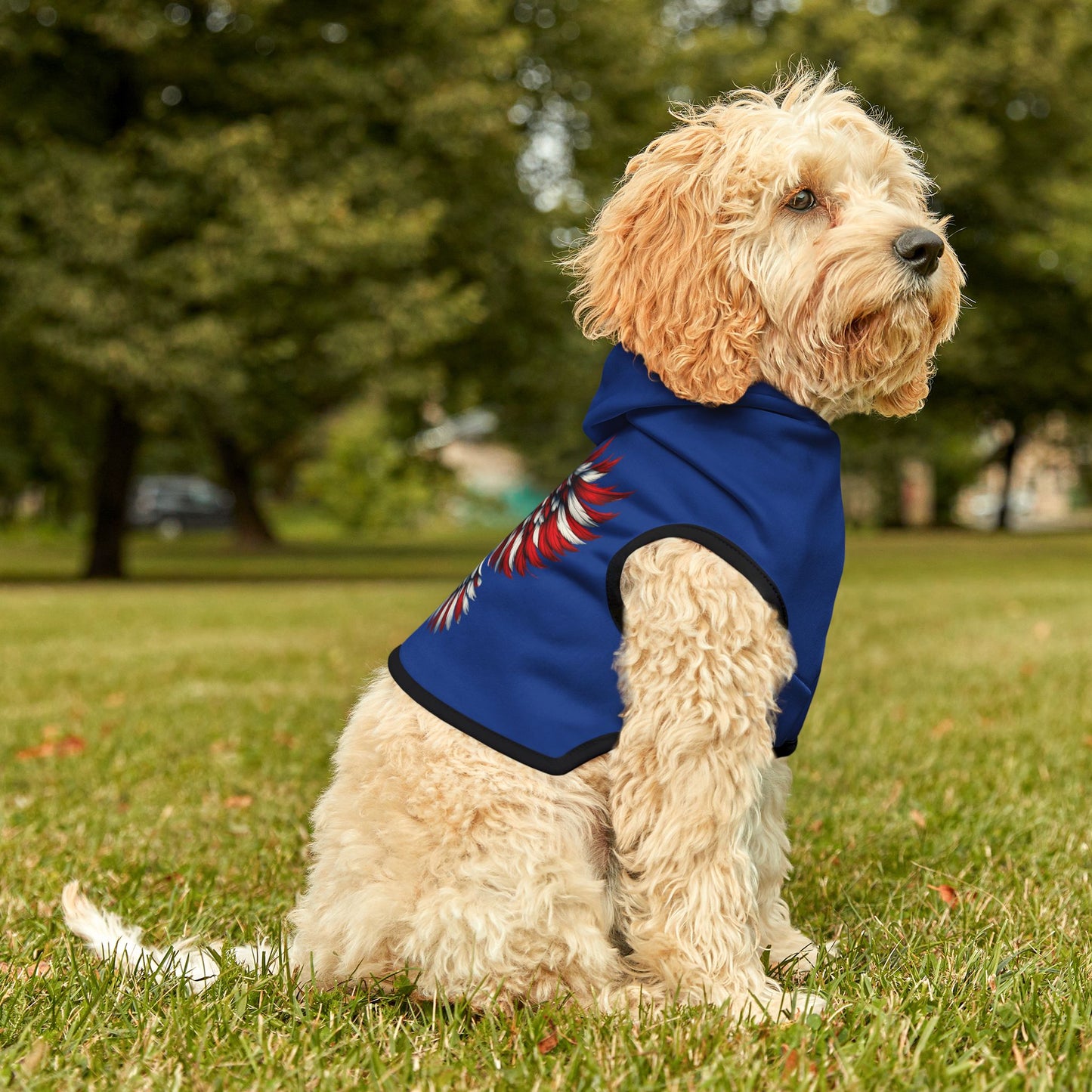 Princess Grace  Patriotic Pet Hoodie with Eagle Design  Perfect for July 4th Celebrations