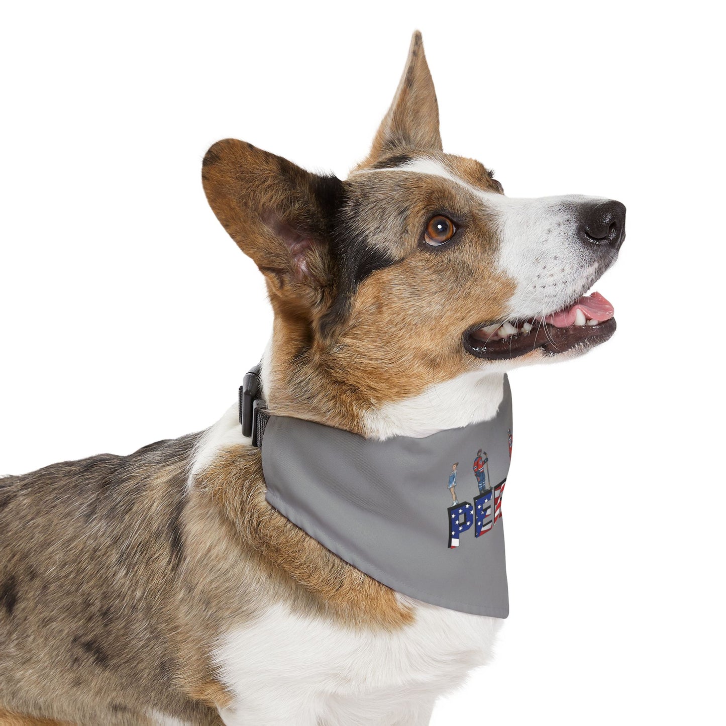 Princess Grace  TEAM USA  Pet Bandana Collar