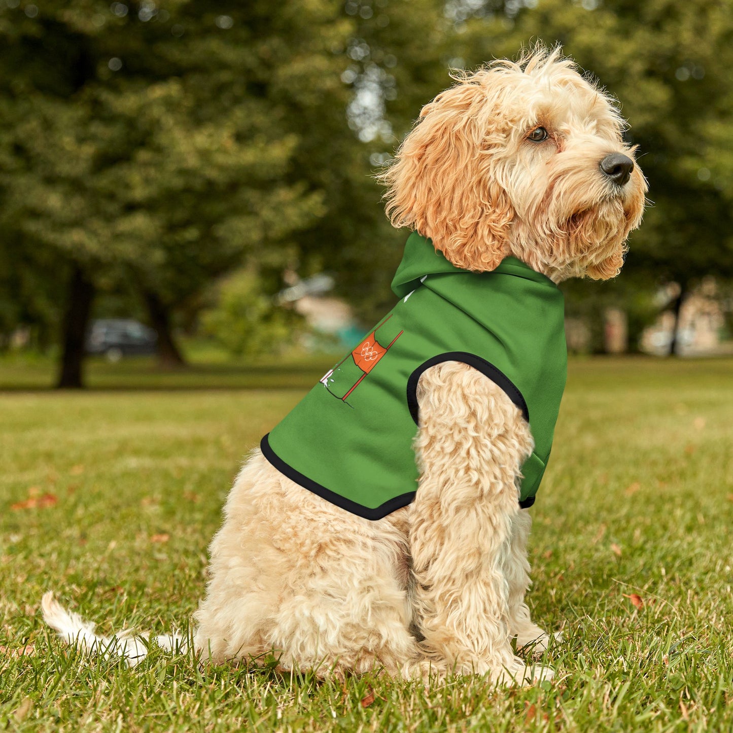 Princess Grace  TEAM USA  Pet Hoodie