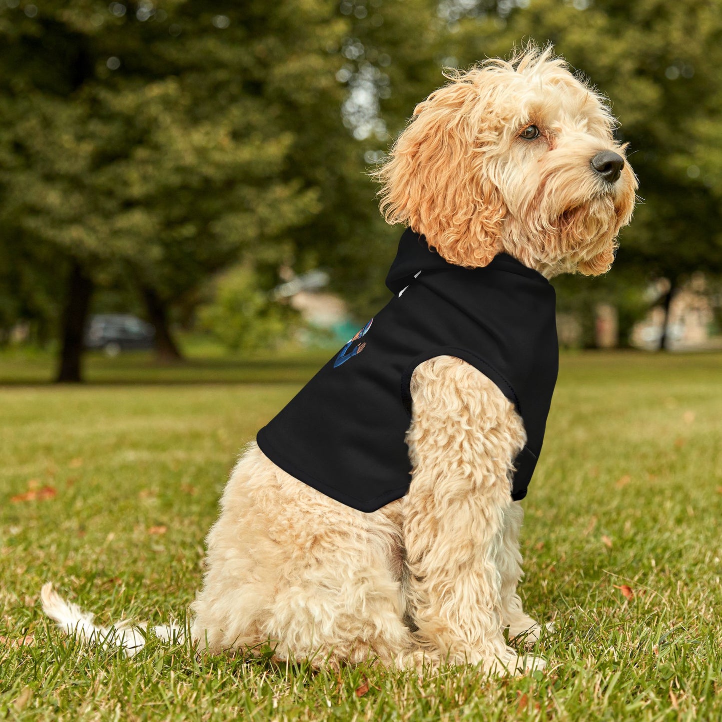 Princess Grace  TEAM USA  Pet Hoodie