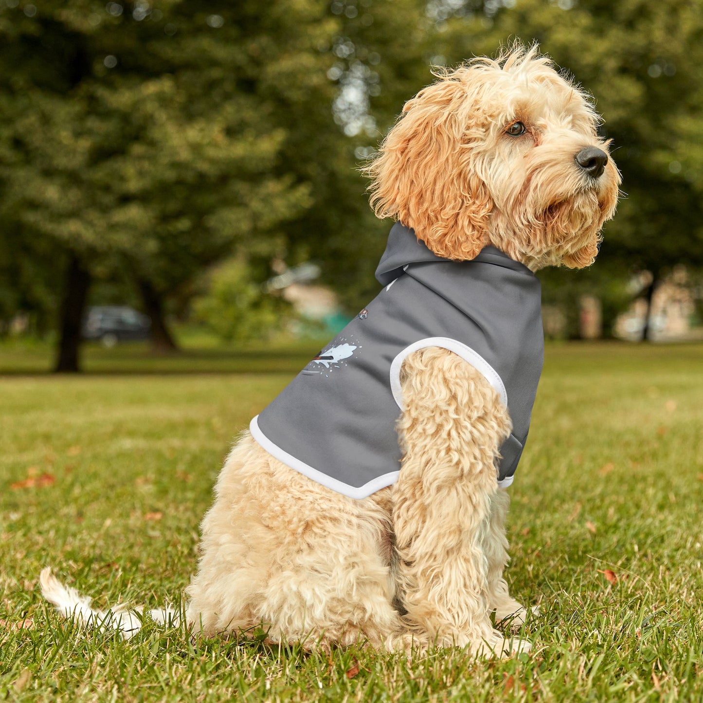 Princess Grace  TEAM USA  Pet Hoodie